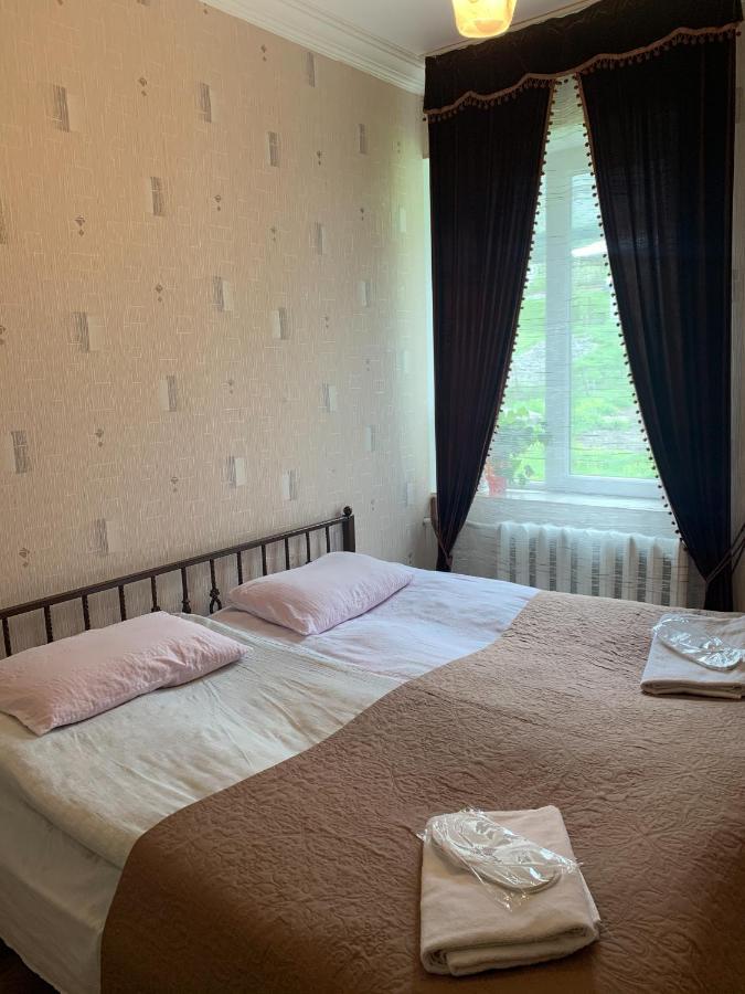 Panorama Kazbegi Otel Dış mekan fotoğraf