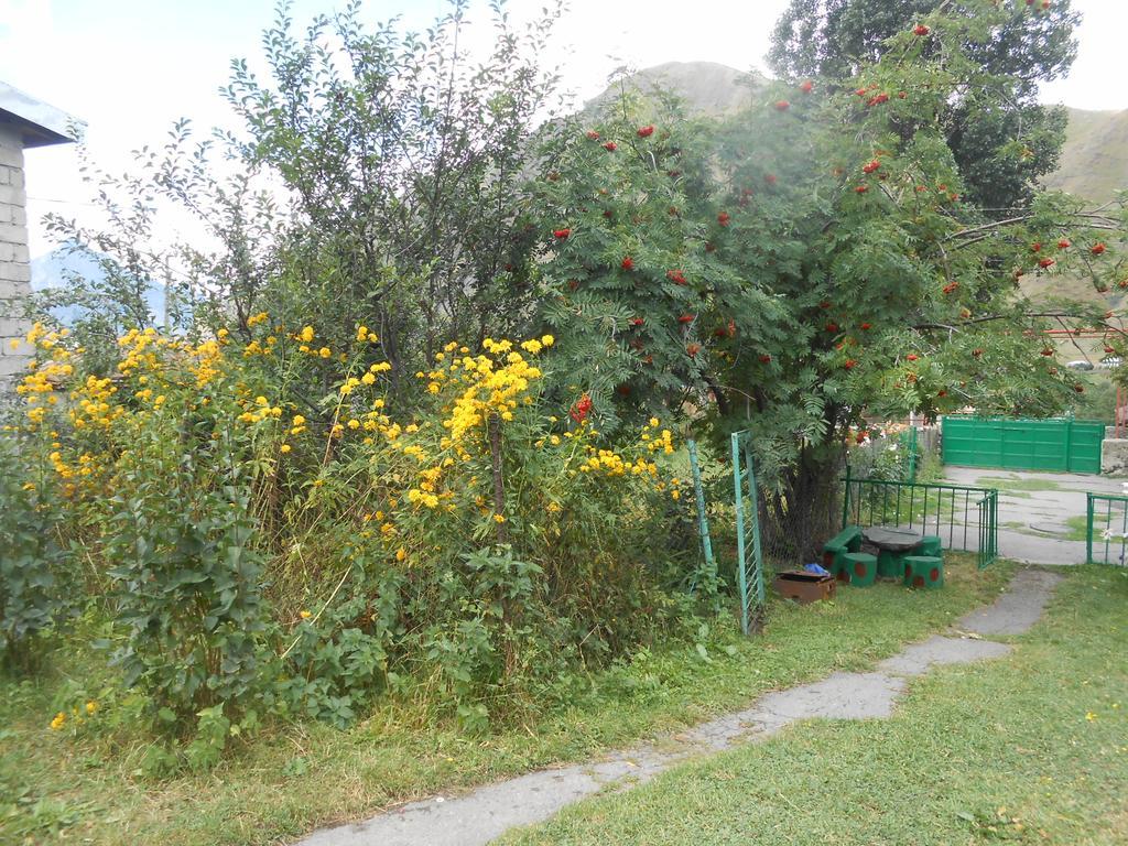 Panorama Kazbegi Otel Dış mekan fotoğraf